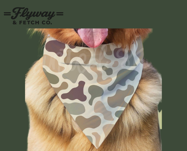 dog bandana