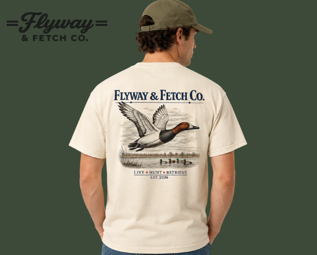 Fly Bird Fly