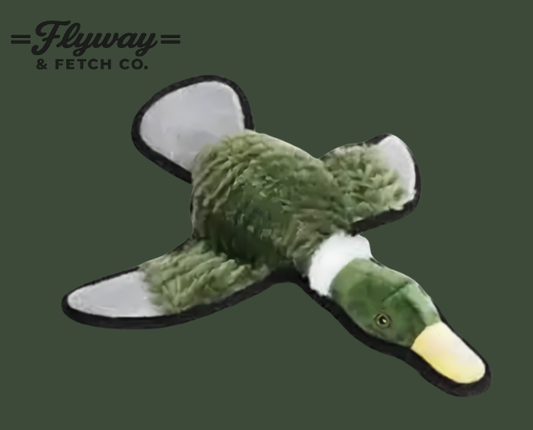 dog toy 2